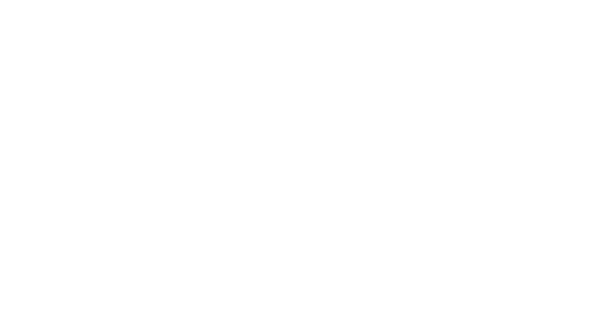Wolf Consult